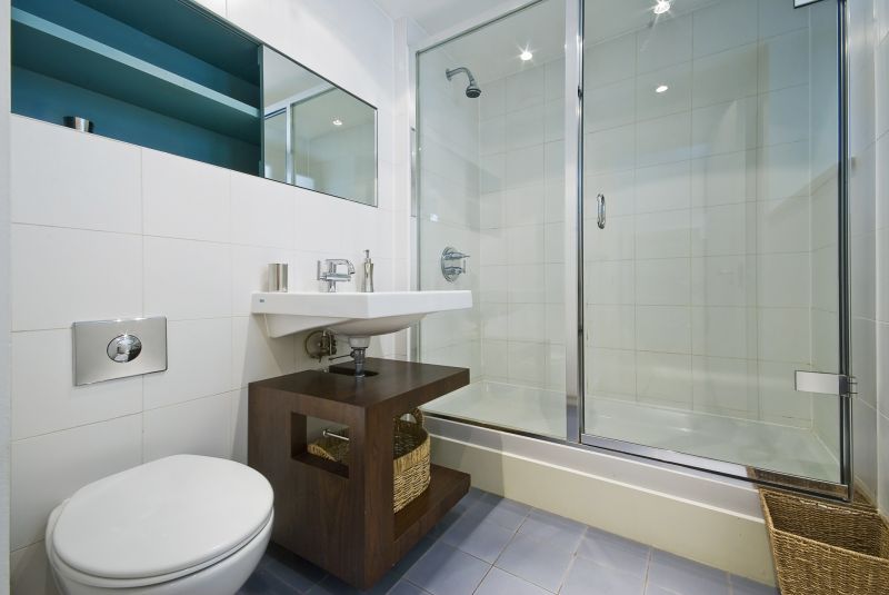 Contemporary Shower Area